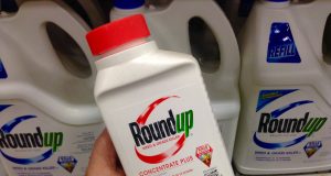 Roundup